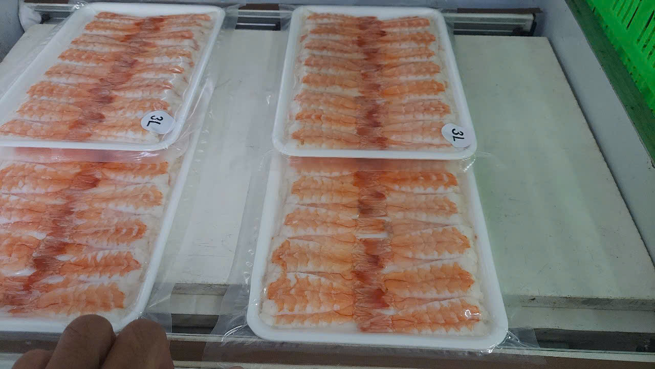 Cooked sushi ebi trays, size 3L