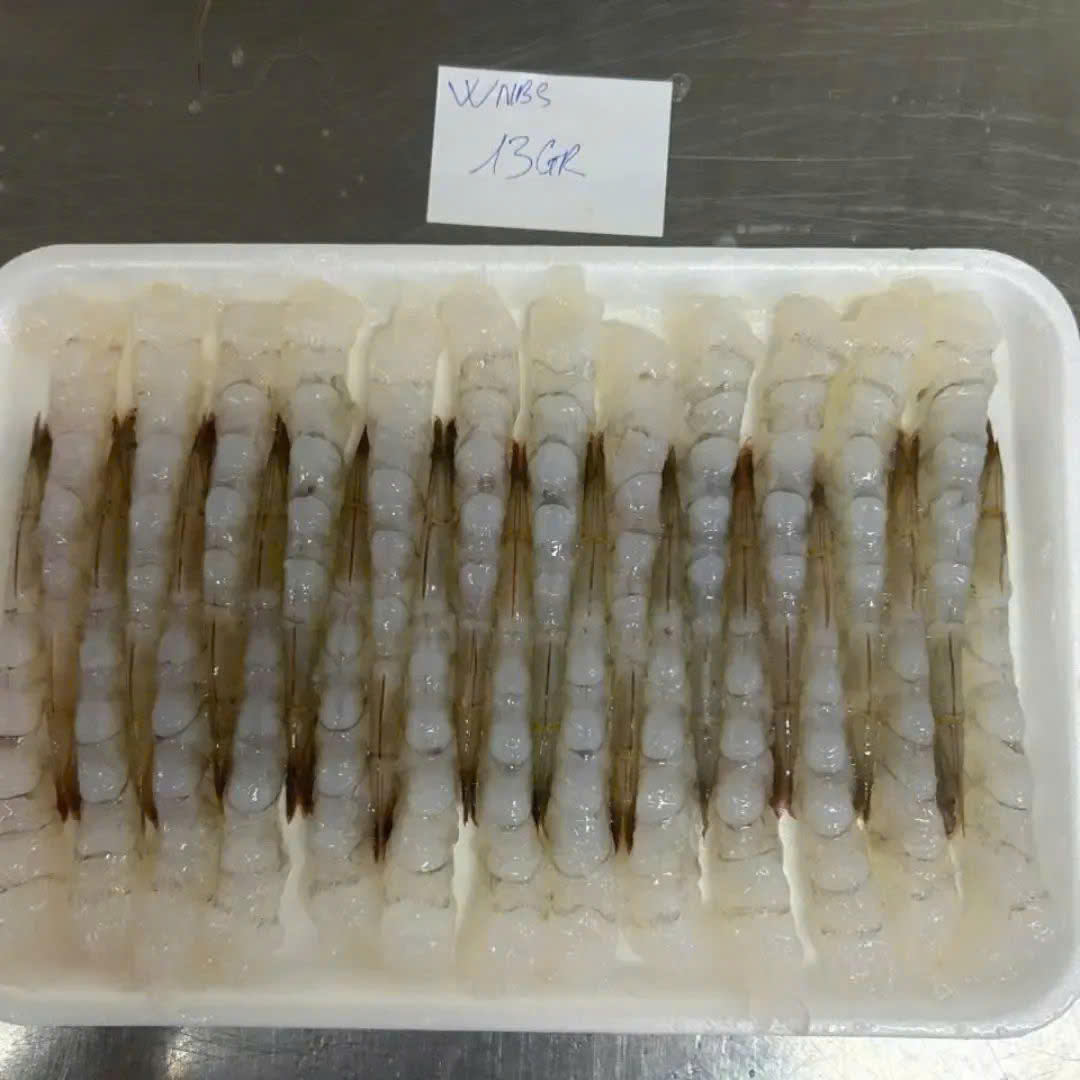 HLSO shrimp tray