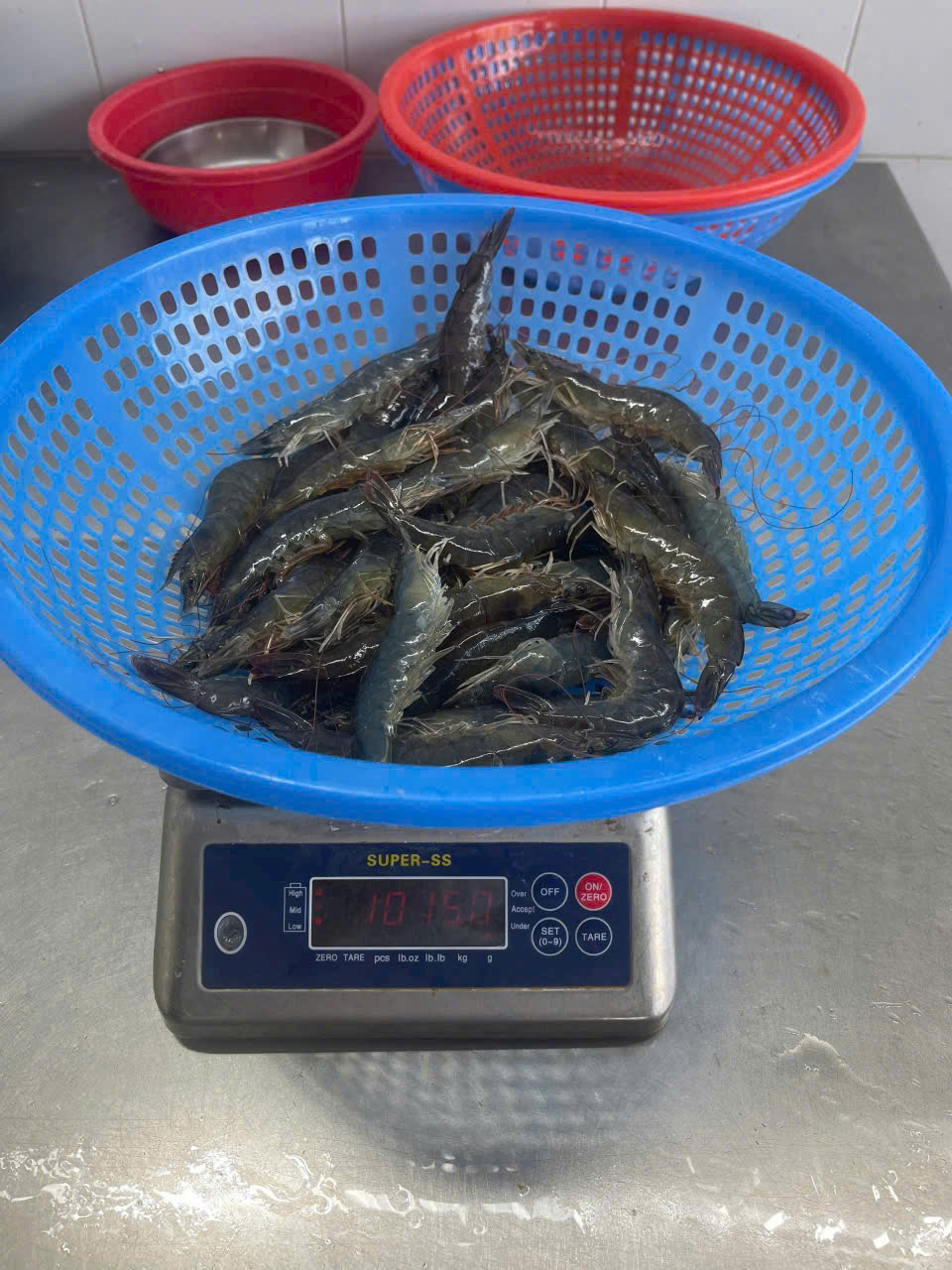Weighing raw shrimp