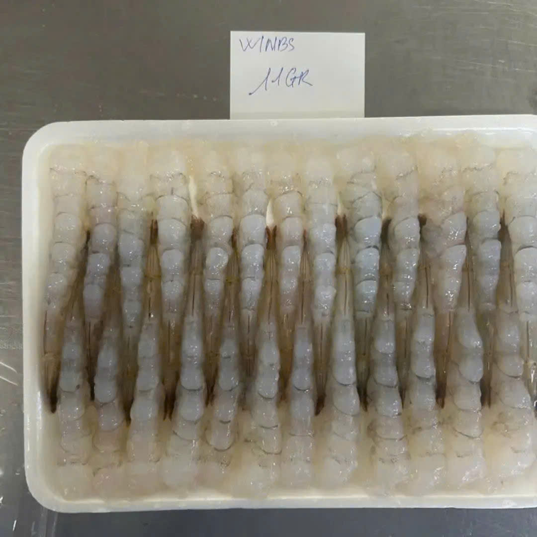 HLSO shrimp tray, 11 g